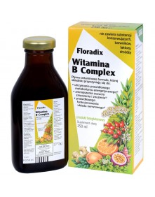 Floradix witamina B complex 250ml | Salus