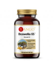 Boswellia 65 90 kaps.|YANGO